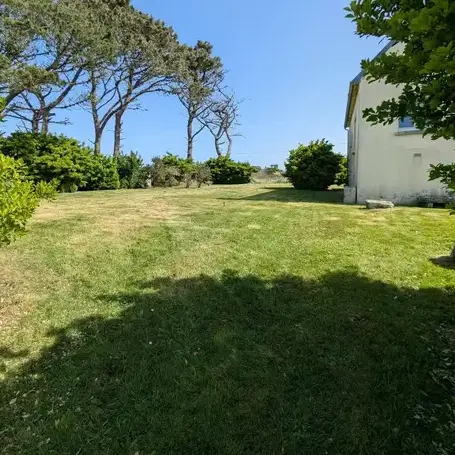 abattage arbre Le Conquet-1