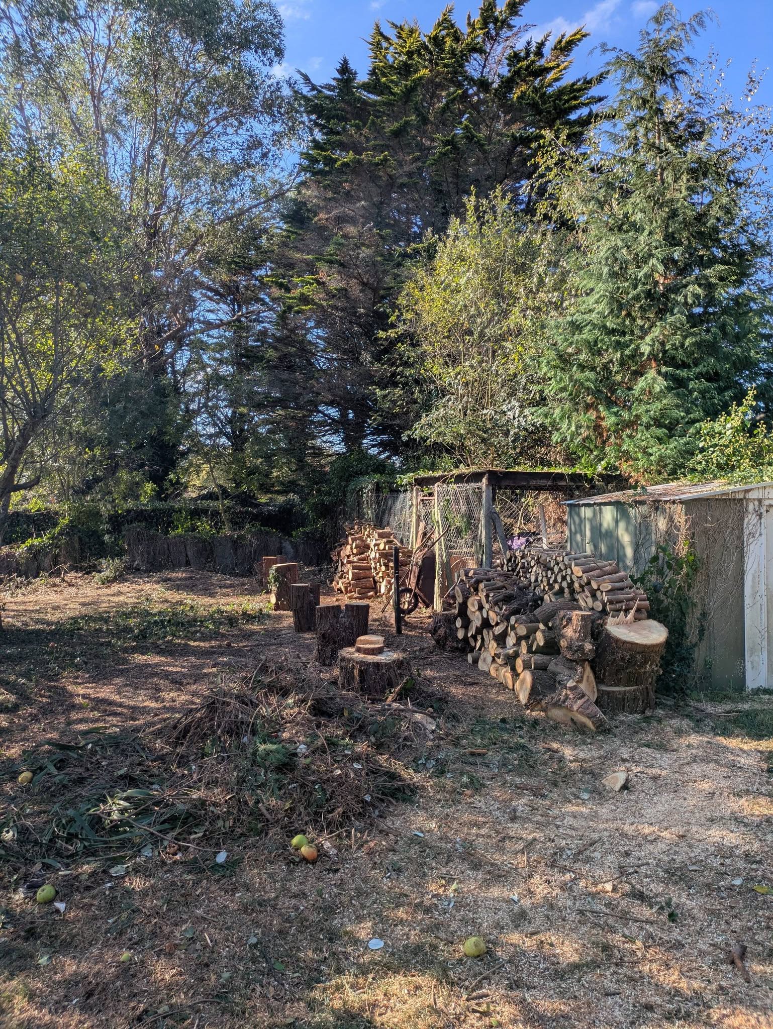 after-image