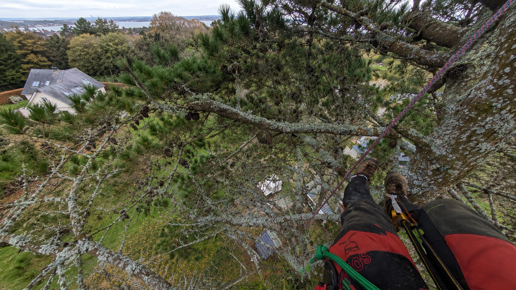 abattage arbre le conquet