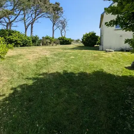 abattage arbre Plougonvelin-1