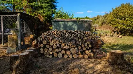 abattage arbre Plougonvelin-5