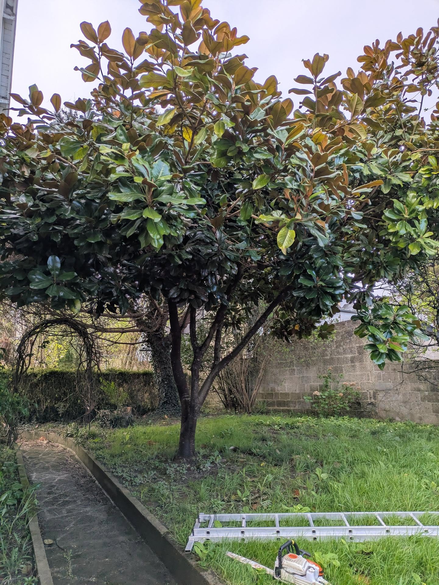 before-image
