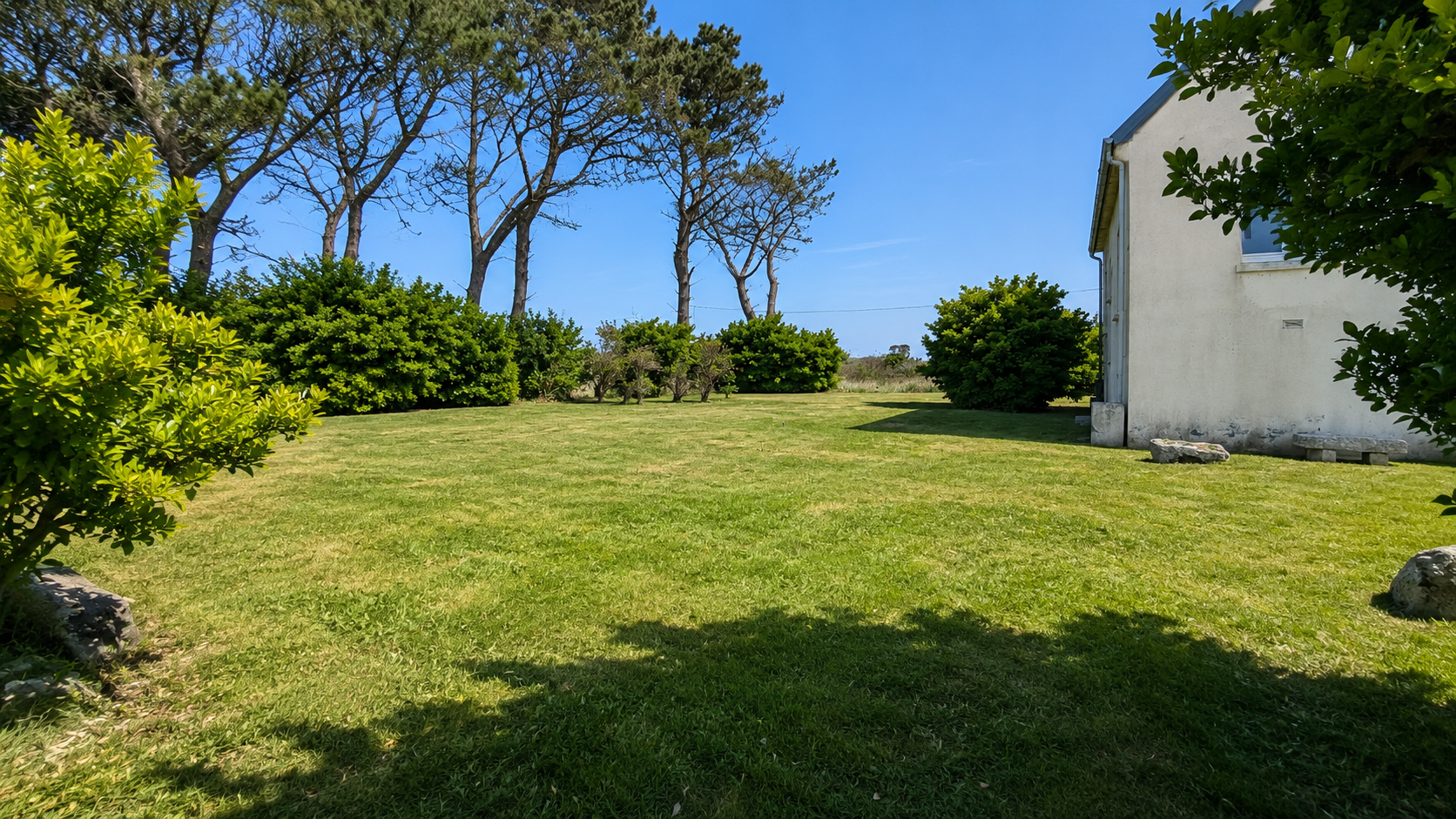 abattage arbre plouguerneau