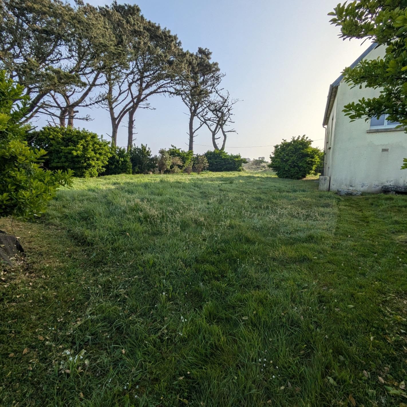 before-image