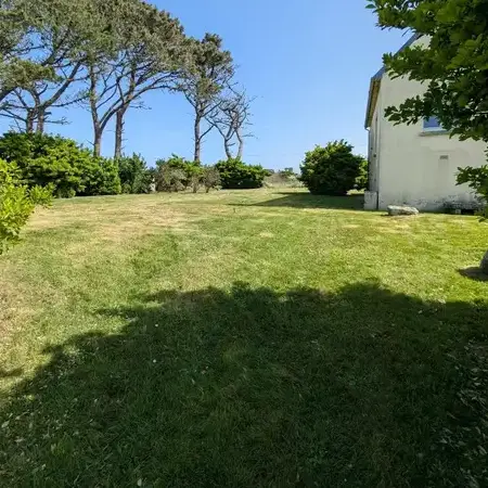 abattage arbre à Porspoder - image 3