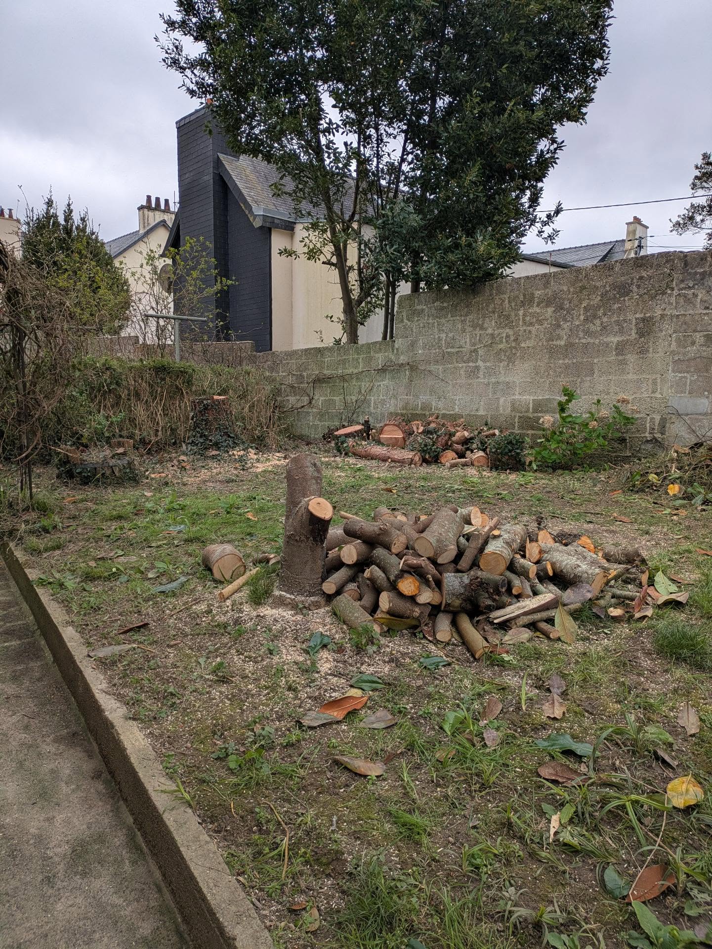 after-image