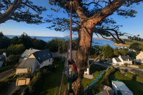 débrousailleur à Le Conquet - image 3