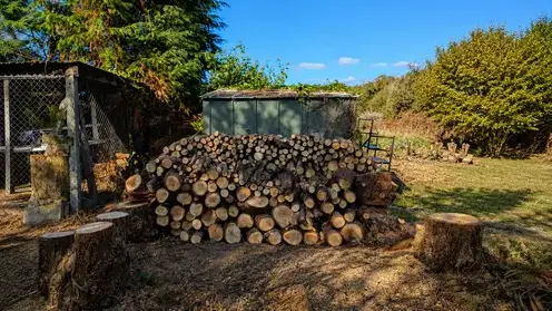 débrousailleur à Plougonvelin - image 2