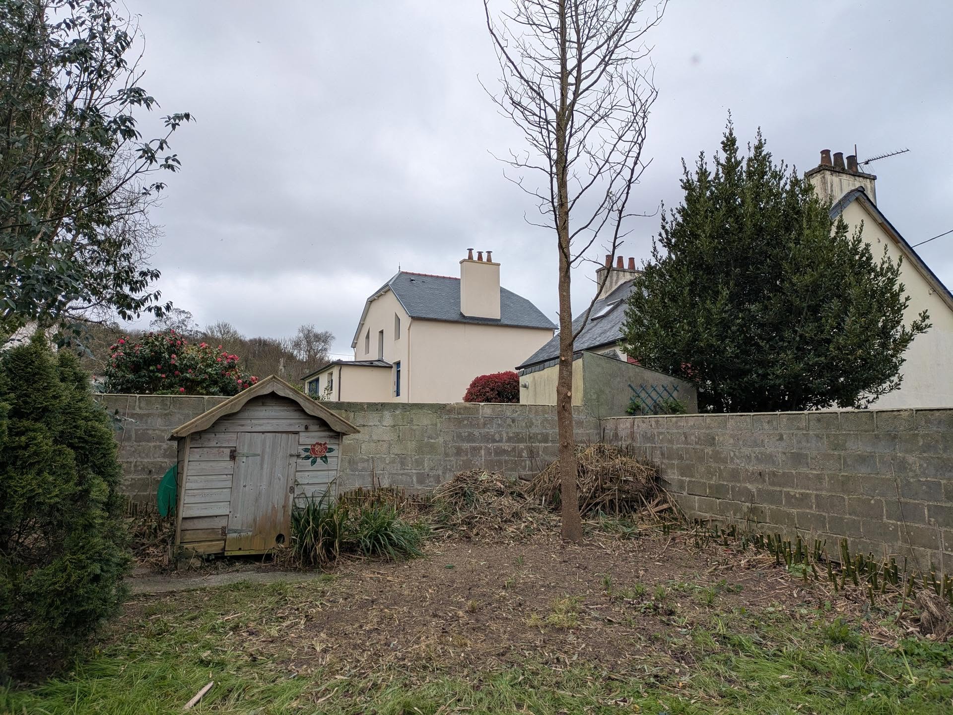 after-image