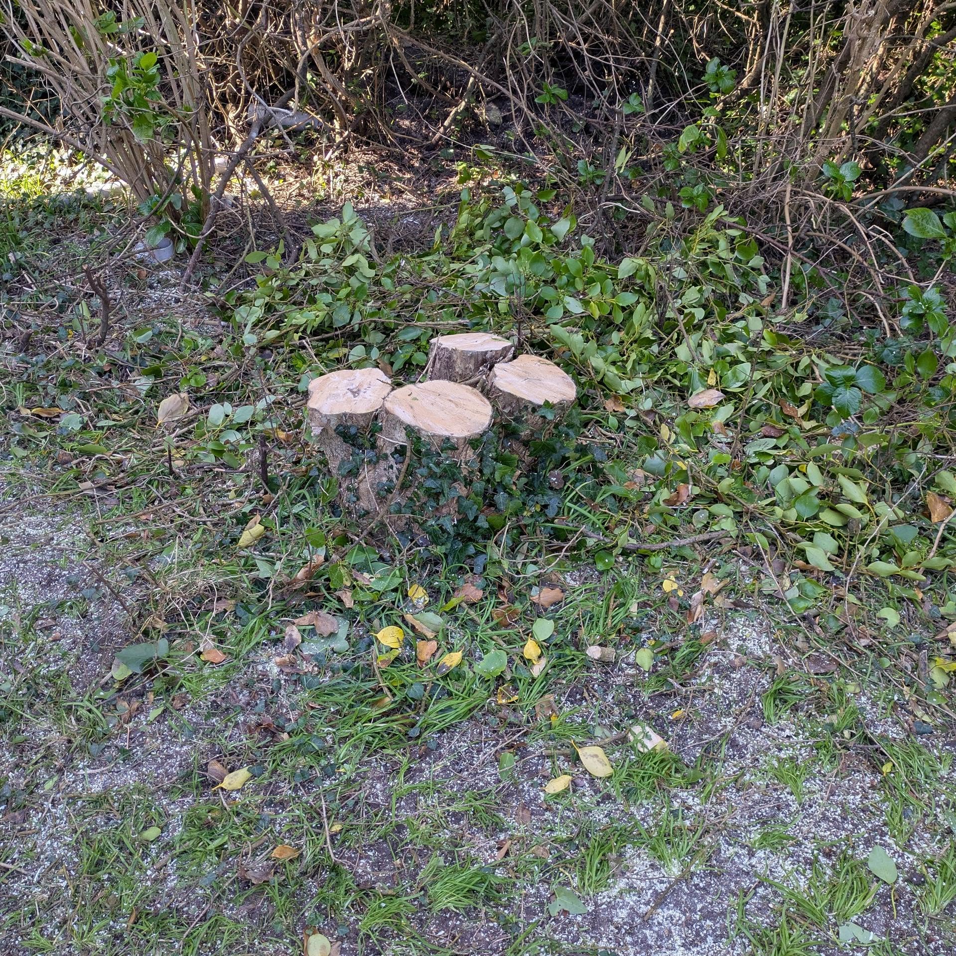 after-image