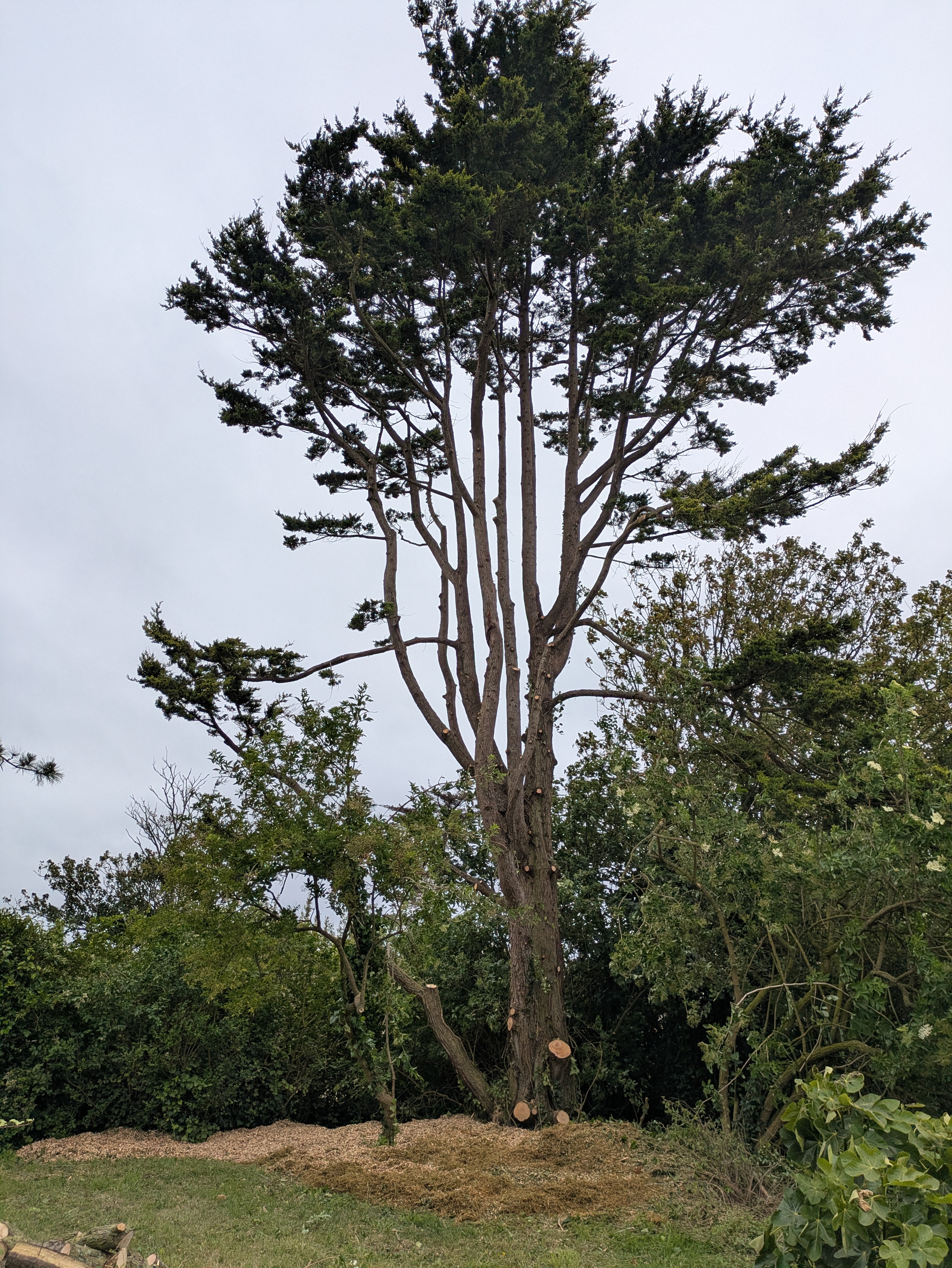 after-image