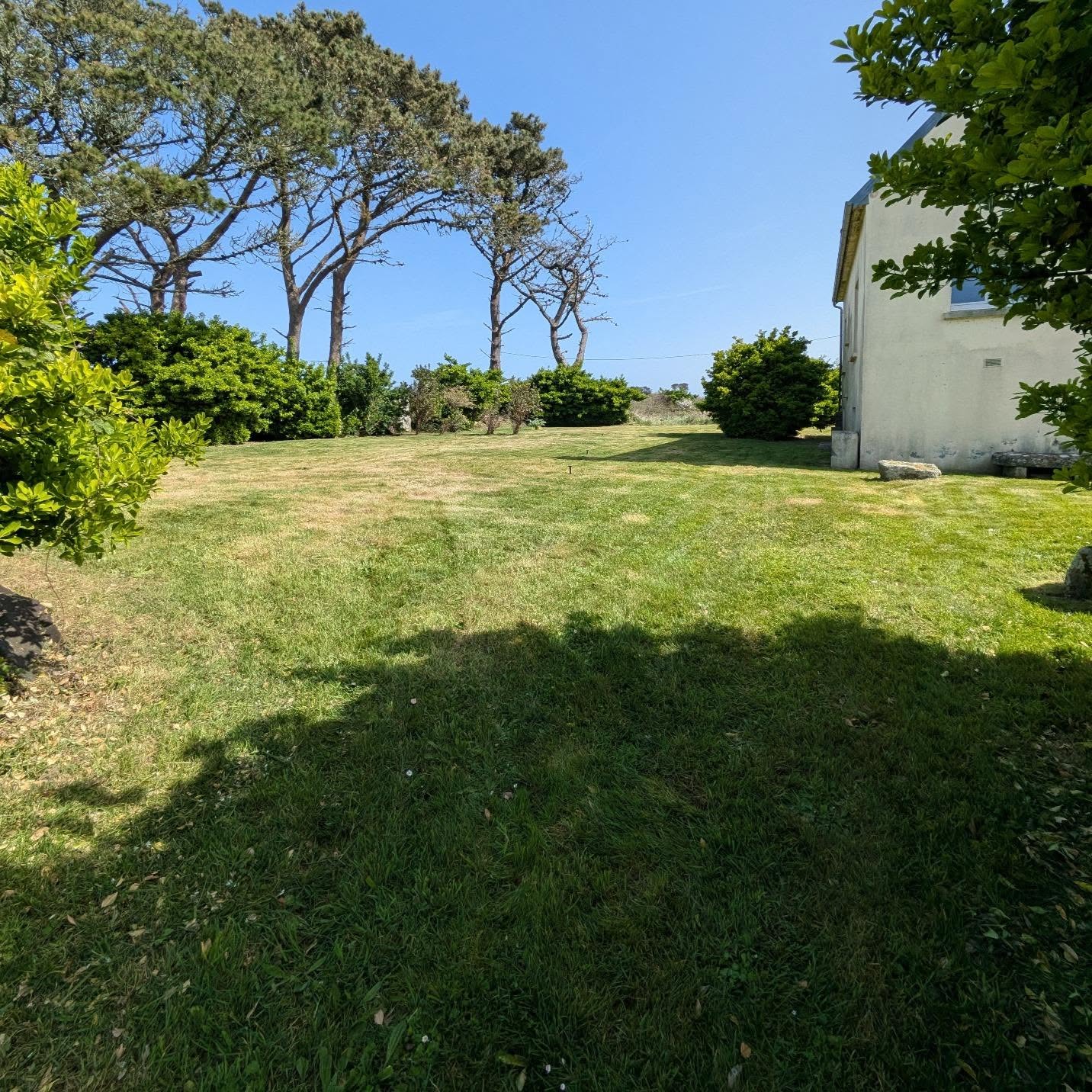 elagueur landerneau