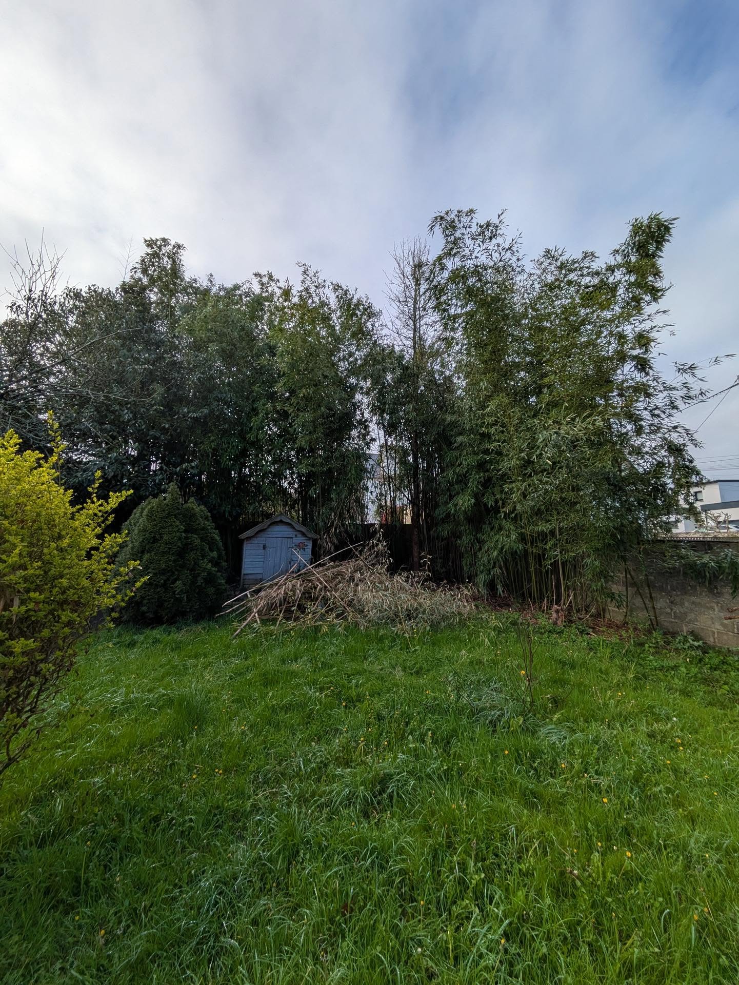 before-image