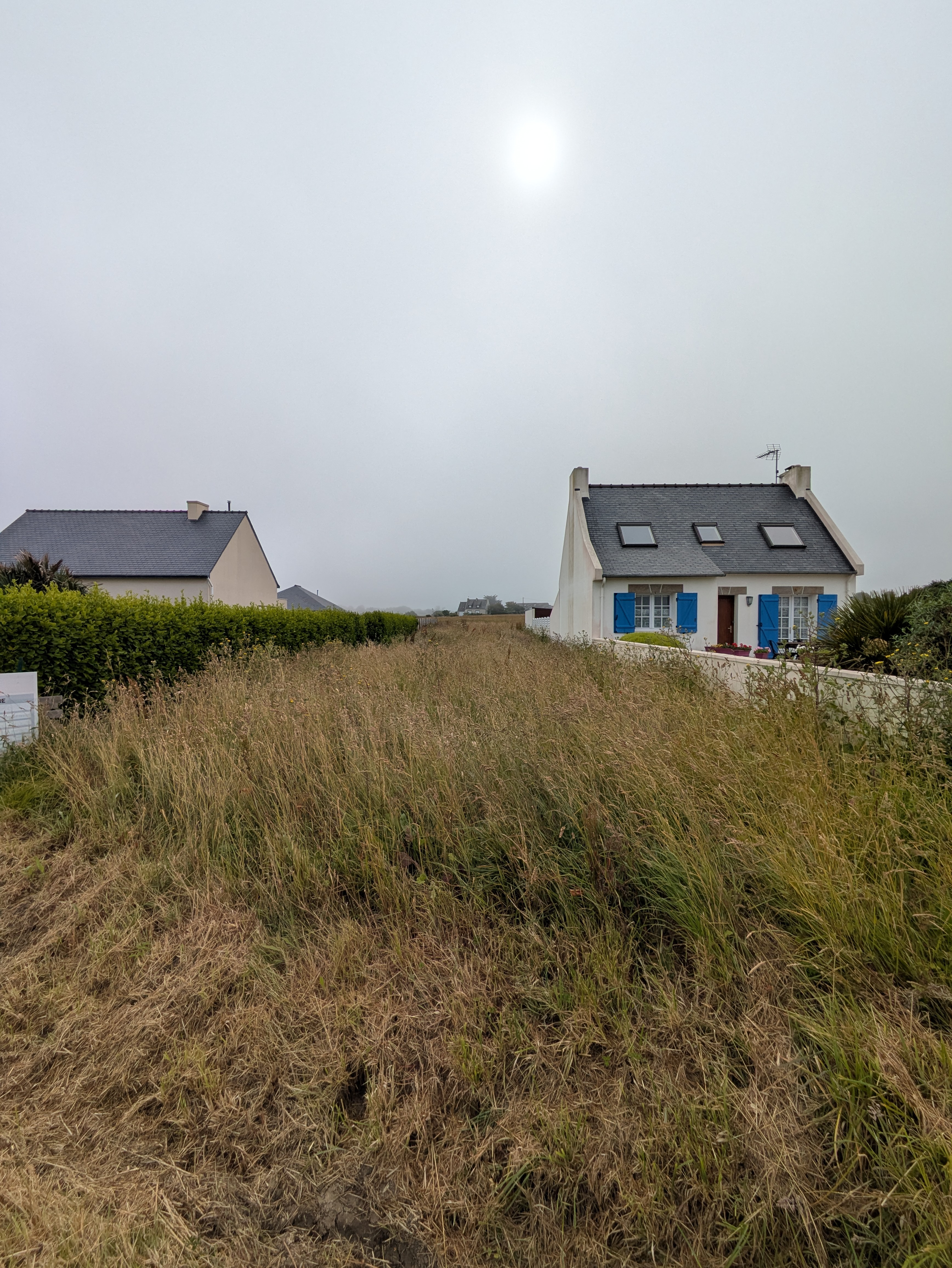 before-image