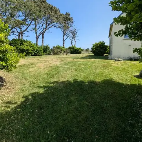 elagueur à Plougonvelin - image 3