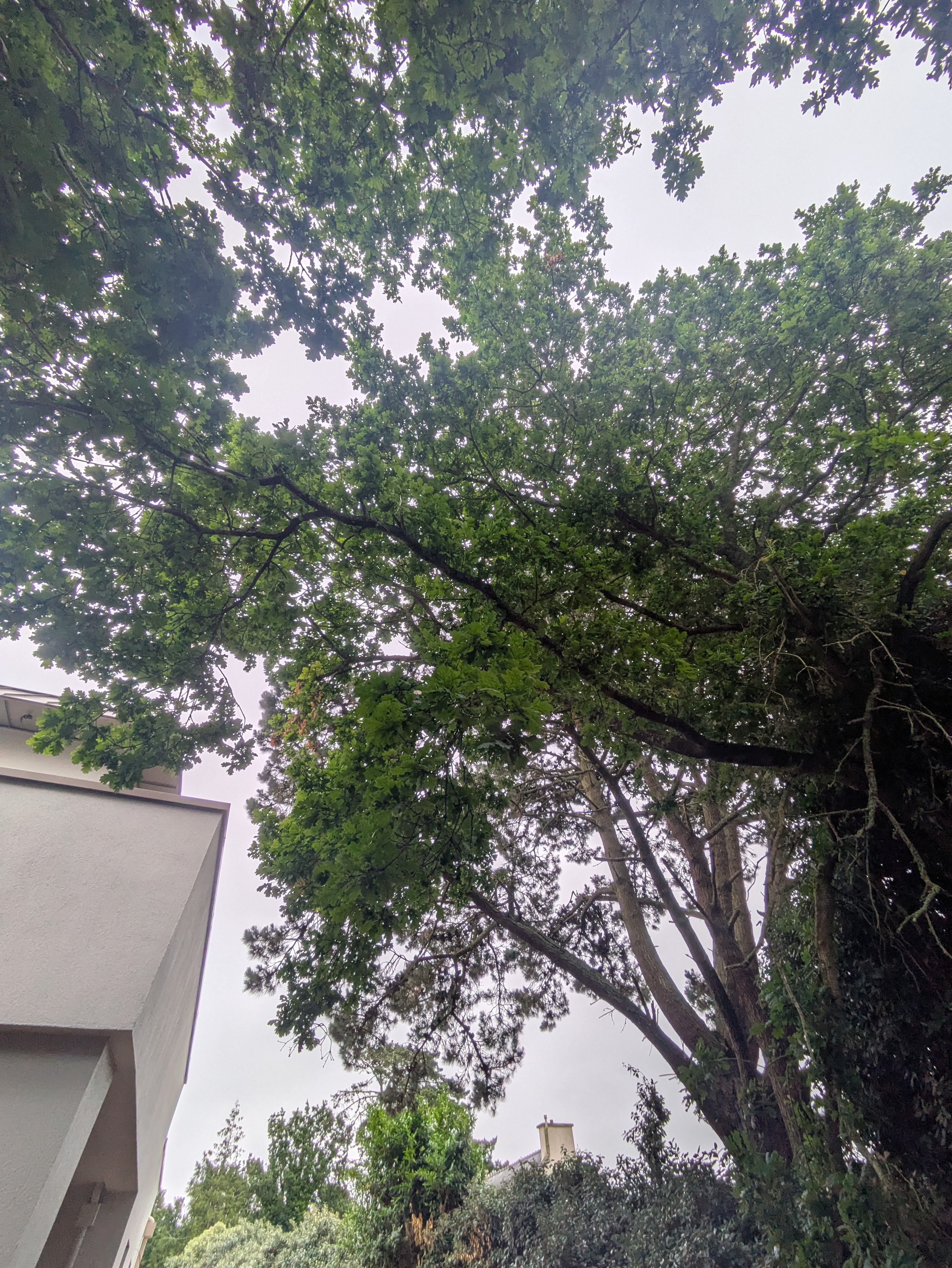 before-image