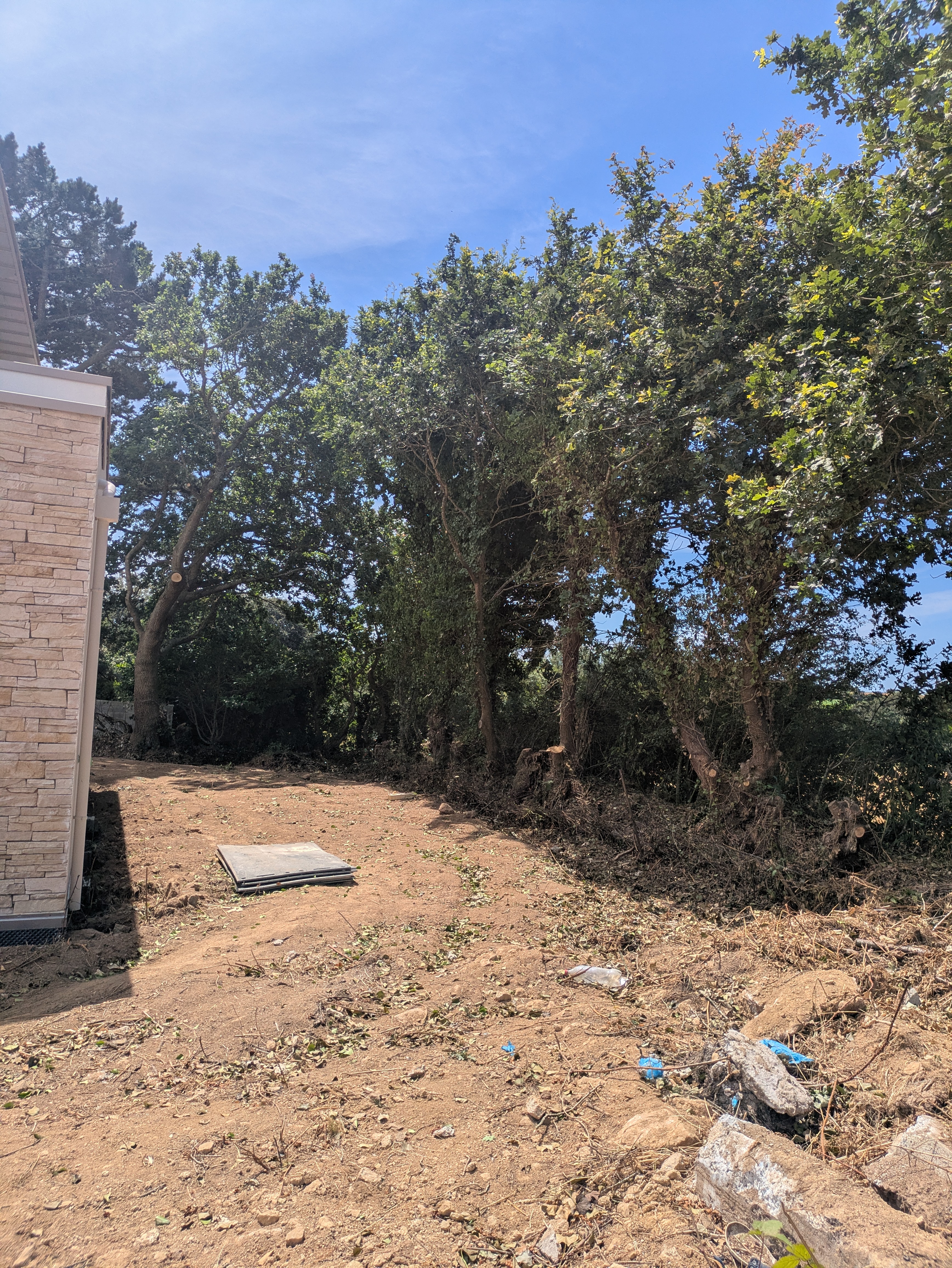 after-image