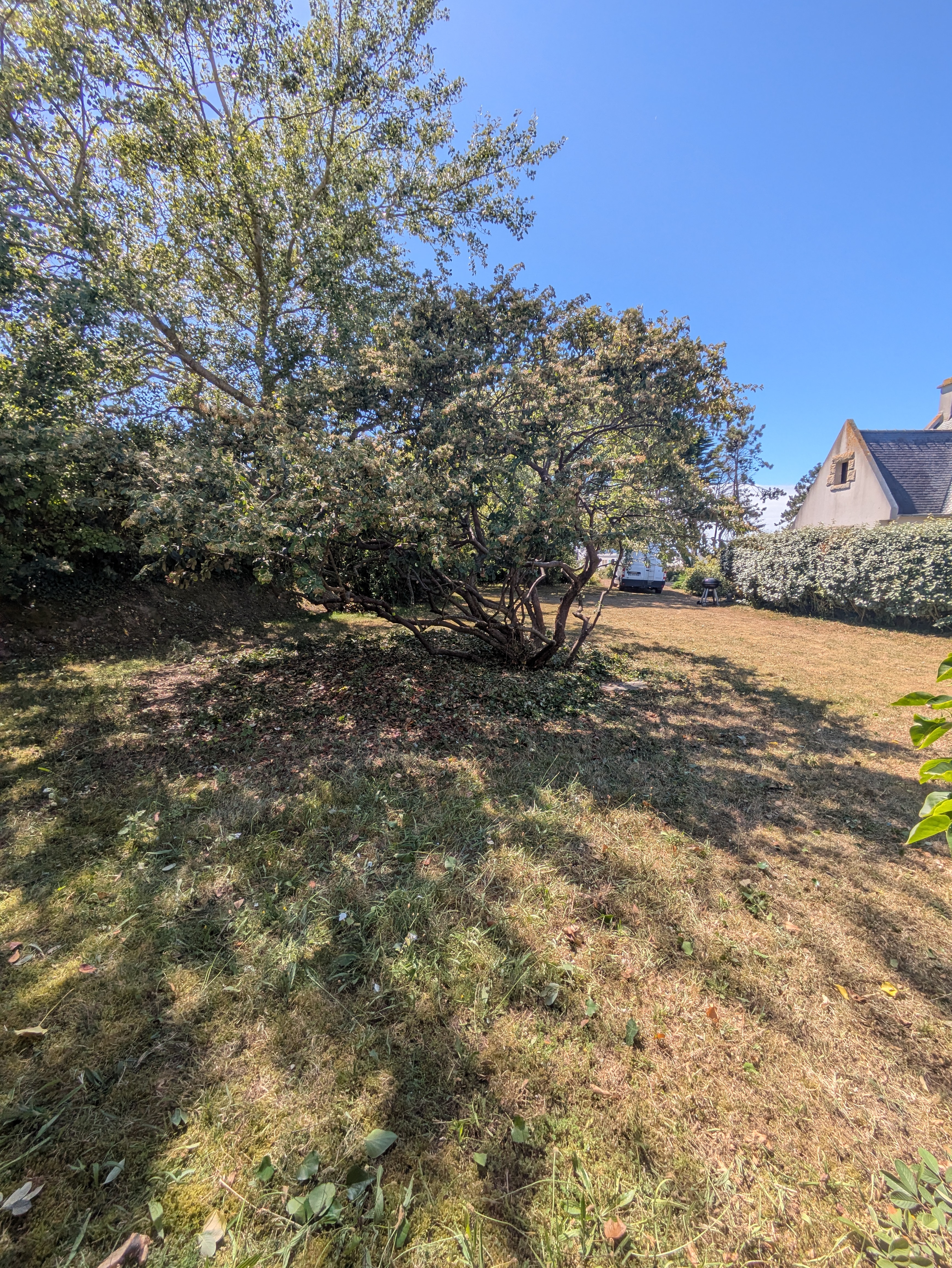 after-image
