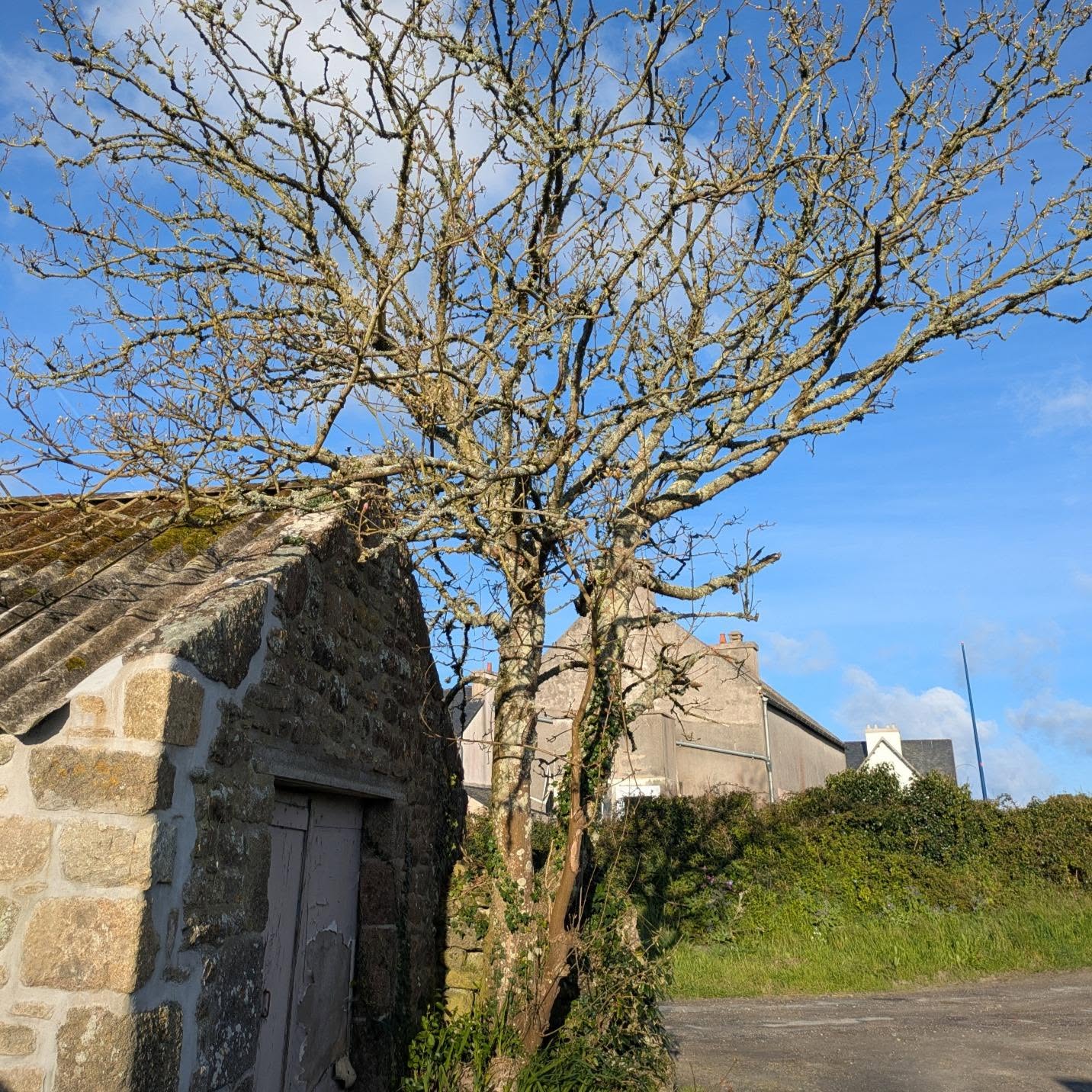 before-image